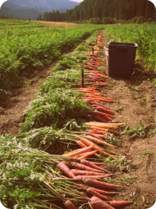 Community Education through Farm Tours Image